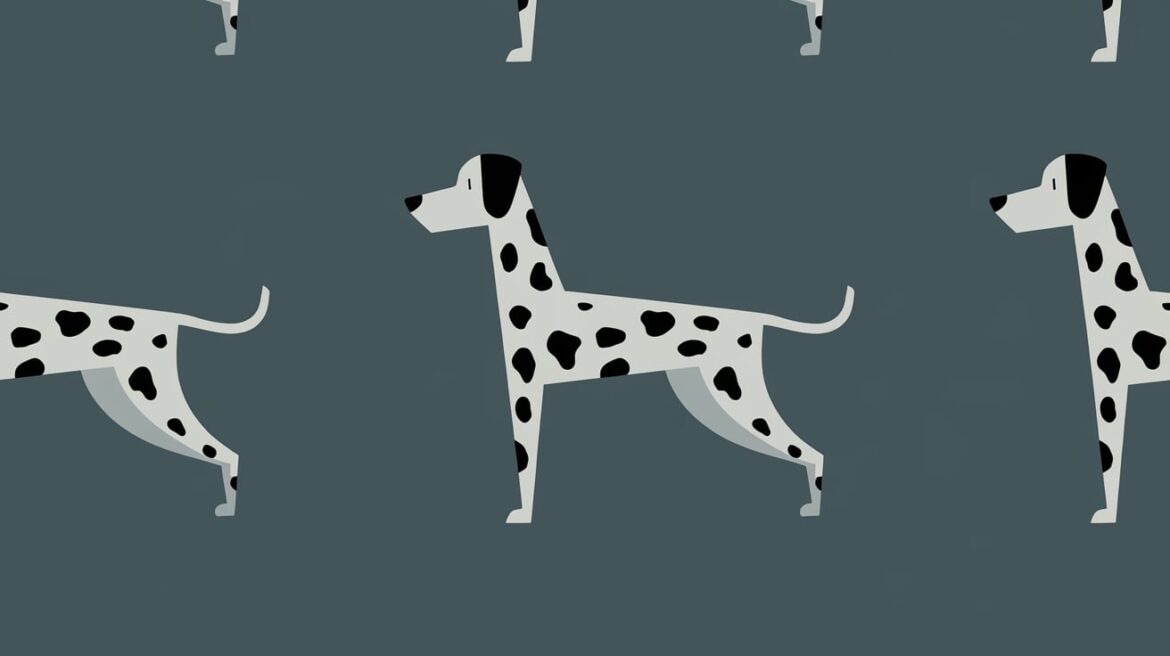 Dalmatian Wallpaper