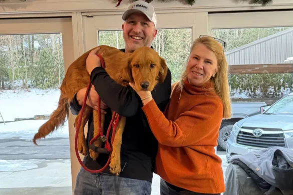Hiker Save Missing Golden Retriever From Coal Pit